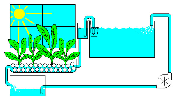 схема подключения фитофильтра для аквариума