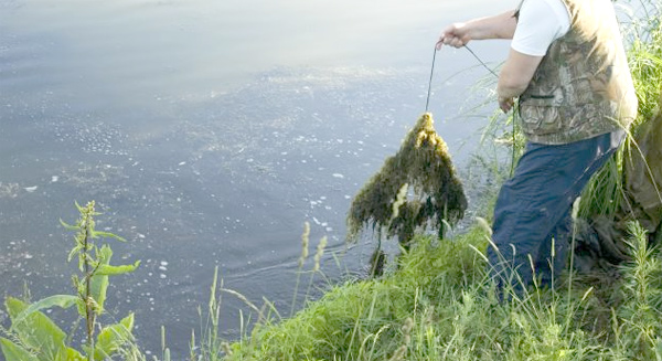 расчистка места для рыбалки от водорослей