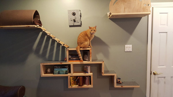 книжная полка-домик для кошки