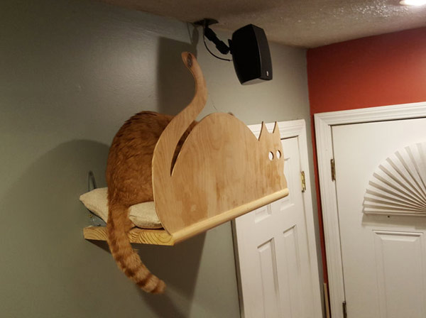 домик для кошки на стене своими руками