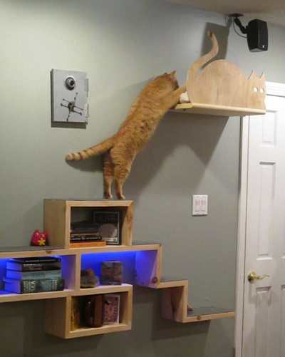 дом для кошки на стене