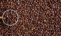 Закупки зернового кофе: преимущества интернет-магазинов для бизнеса и дома