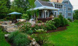 Озеленение дачи и загородного дома без ошибок и лишних затрат