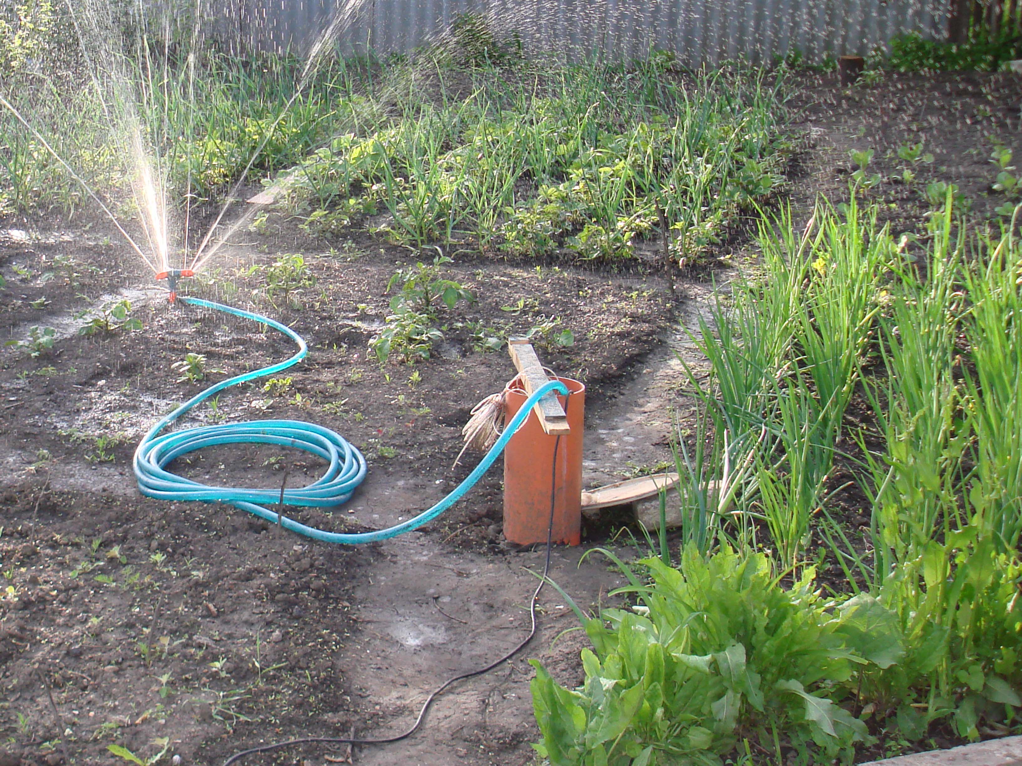 Вода для полива ответы. Автополив для огорода. Полив огорода. Шланги для полива огорода. Поливочная система для сада.