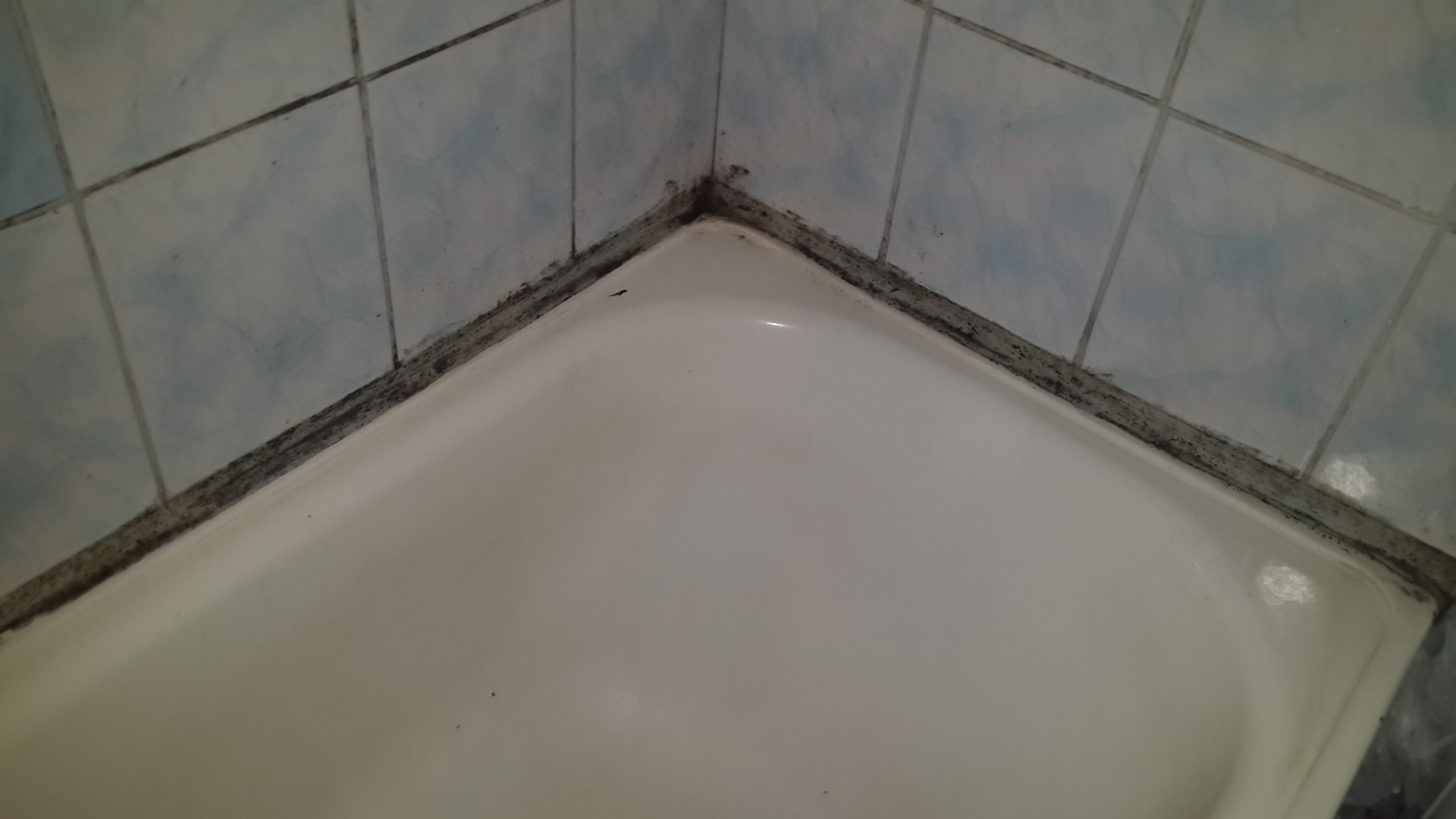 Заделать трещину в душевой. Цементная затирка стык ванны и стены. Шов между ванной и стеной. Шов между ванной и стенко. Стык между ванной и стеной.