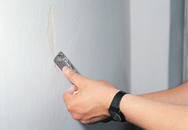 Как заделать трещины в штукатурке на стене перед поклейкой обоев